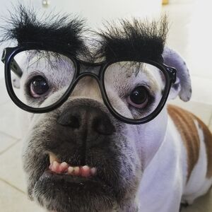 Like This For LIVE Alerts. 👁👁💝